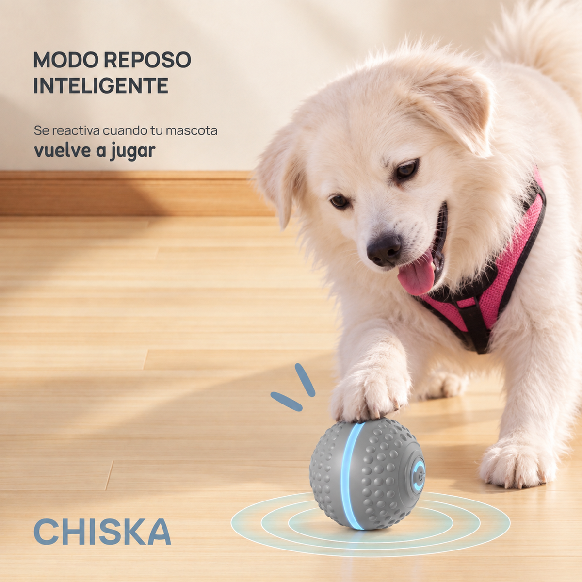 PawBounce™ | Pelota Interactiva para Perros